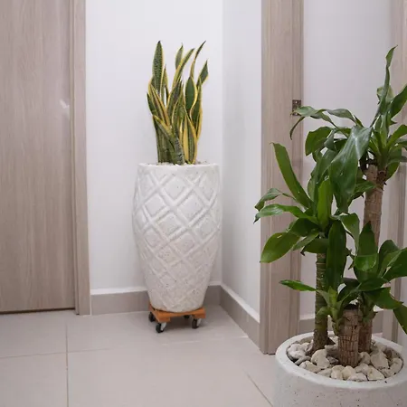 De Lujo Frente Al Mar Con Acceso A Piscina Apartamento *